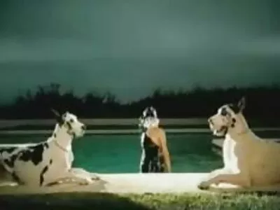 Seksi video of laiha nainen ilmaiset pano videot imee ja olla munaa kämppäkaverin kanssa
