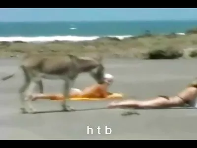 Kaksi dudes ovat vitun yksi kukko-nälkäinen blondi tipu mummo seksivideot